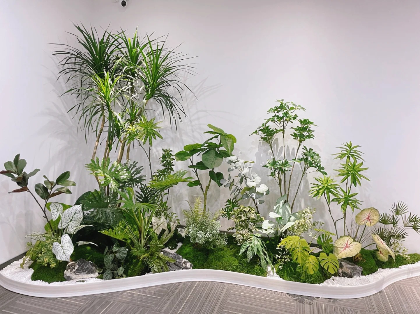 体验前湾花木租摆，享受绿色环绕的美好生活！